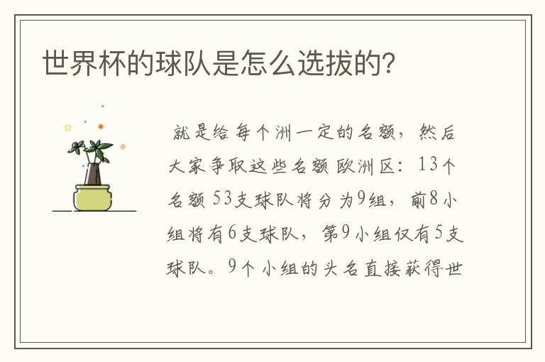 世界杯的球队是怎么选拔的?