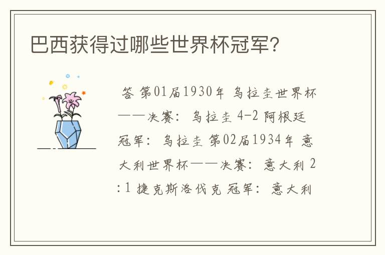 巴西获得过哪些世界杯冠军?