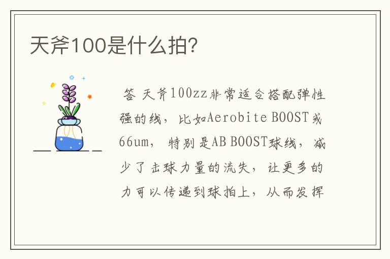 天斧100是什么拍?
