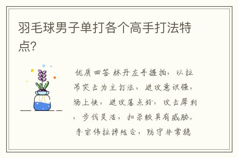 羽毛球男子单打各个高手打法特点?