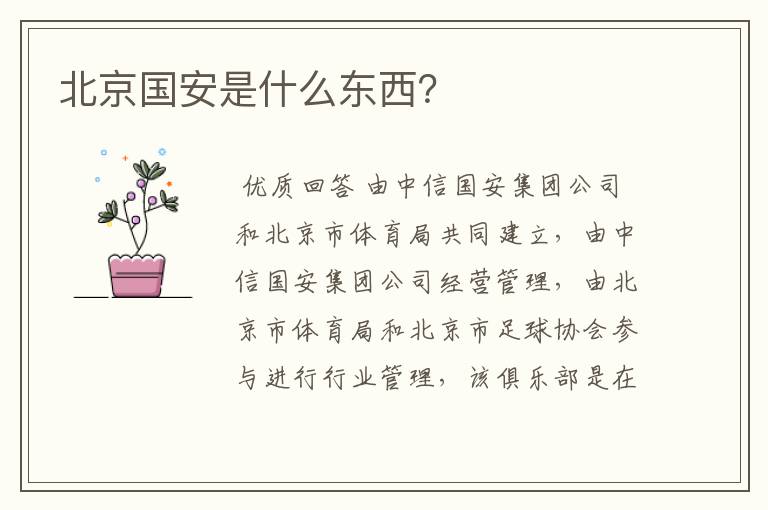 北京国安是什么东西?