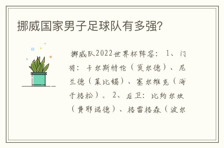 挪威国家男子足球队有多强?