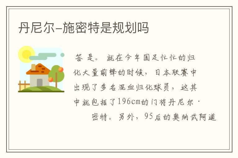 丹尼尔-施密特是规划吗