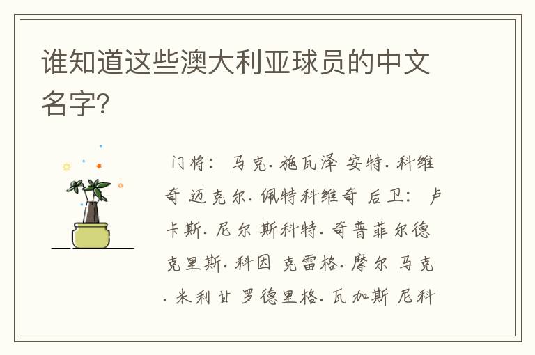 谁知道这些澳大利亚球员的中文名字？