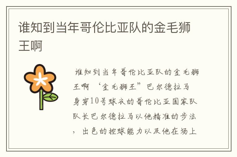 谁知到当年哥伦比亚队的金毛狮王啊
