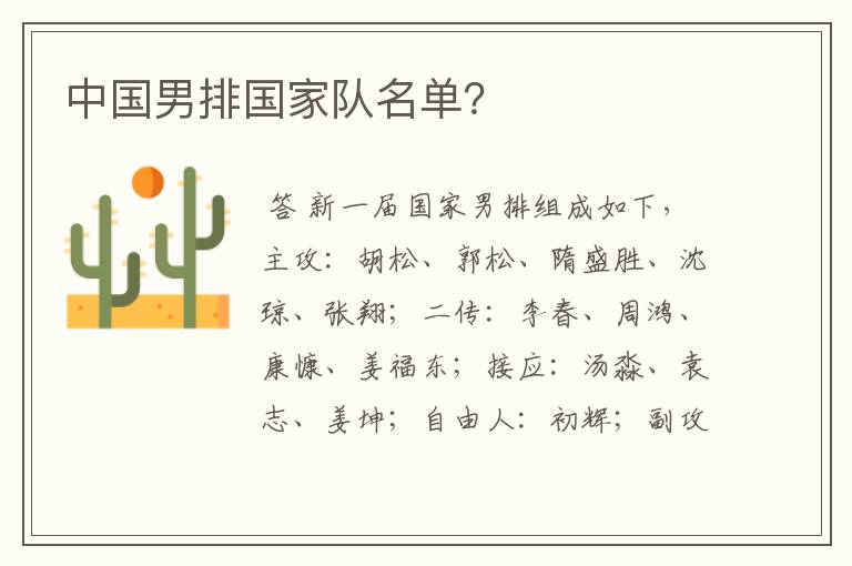 中国男排国家队名单？