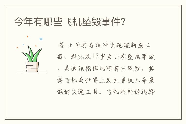 今年有哪些飞机坠毁事件?
