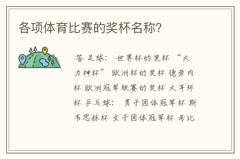 各项体育比赛的奖杯名称?