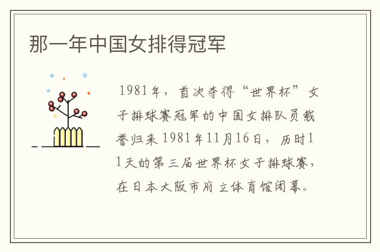 那一年中国女排得冠军