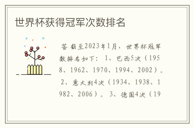 世界杯获得冠军次数排名