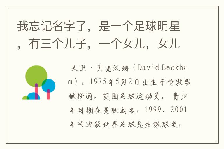 我忘记名字了,是一个足球明星,有三个儿子,一个女儿,女儿还特别小,外界称足球明星的老婆是时尚辣妈。