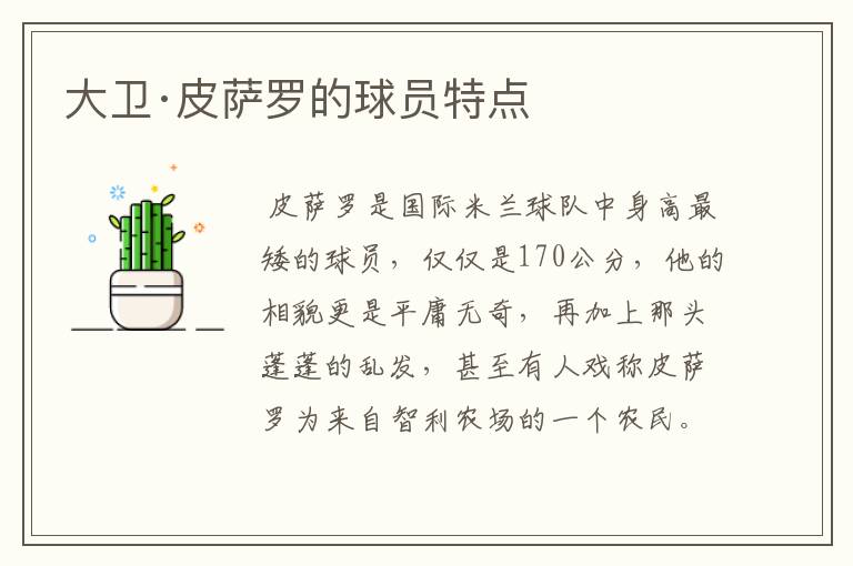 大卫·皮萨罗的球员特点