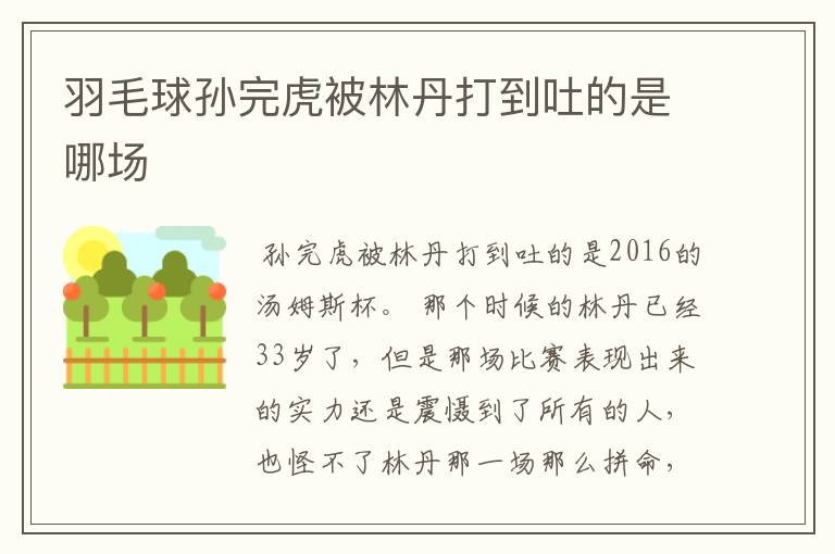 羽毛球孙完虎被林丹打到吐的是哪场