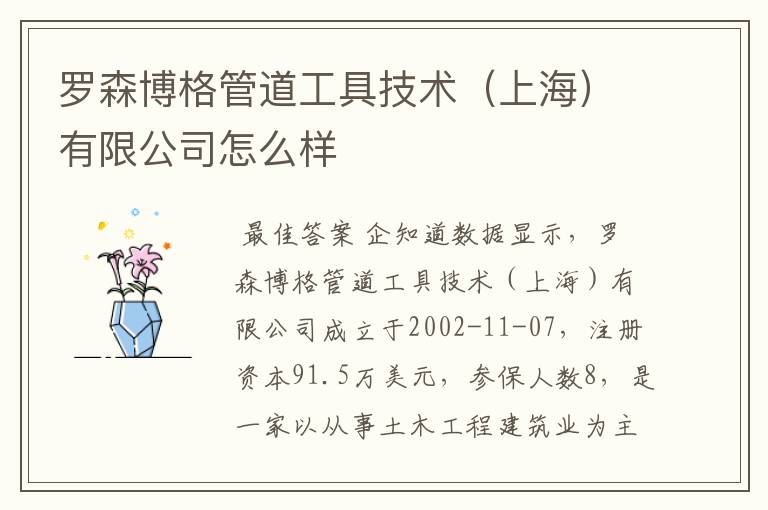 罗森博格管道工具技术(上海)有限公司怎么样