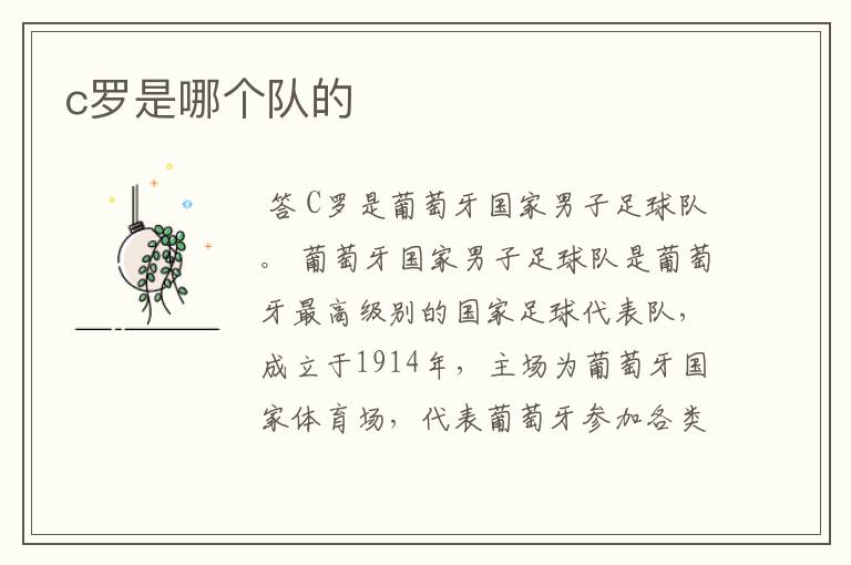 c罗是哪个队的