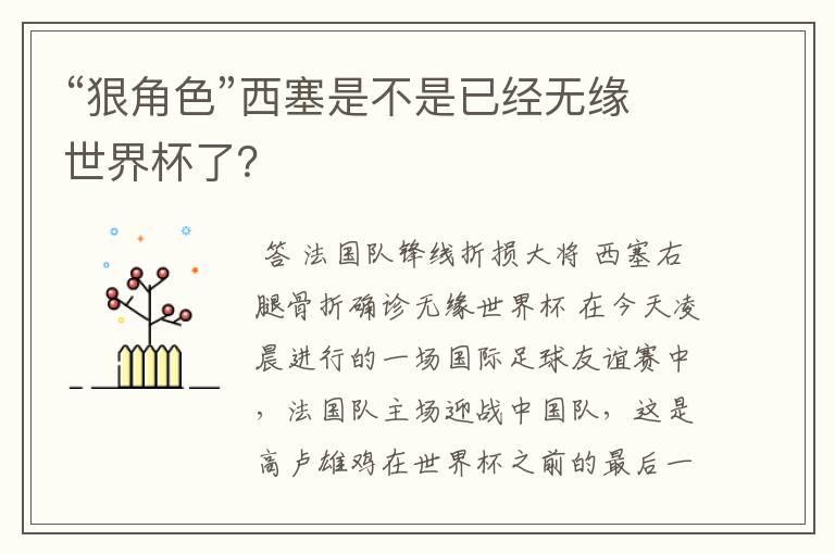 “狠角色”西塞是不是已经无缘世界杯了?