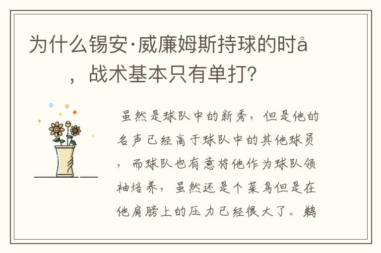 为什么锡安·威廉姆斯持球的时候,战术基本只有单打?