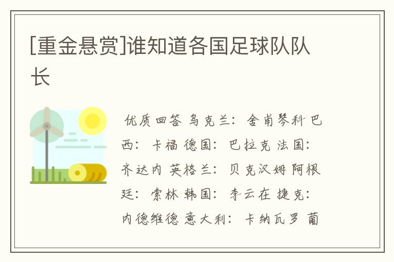 [重金悬赏]谁知道各国足球队队长
