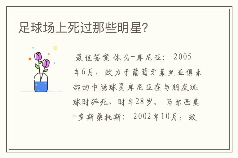 足球场上死过那些明星?