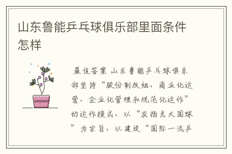山东鲁能乒乓球俱乐部里面条件怎样
