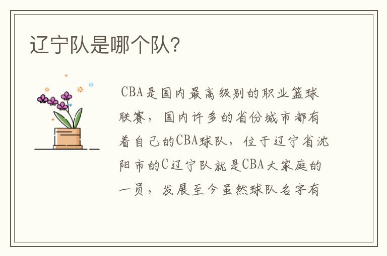 辽宁队是哪个队?