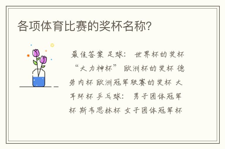 各项体育比赛的奖杯名称?