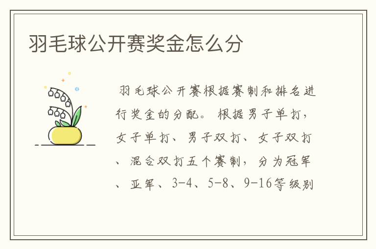 羽毛球公开赛奖金怎么分