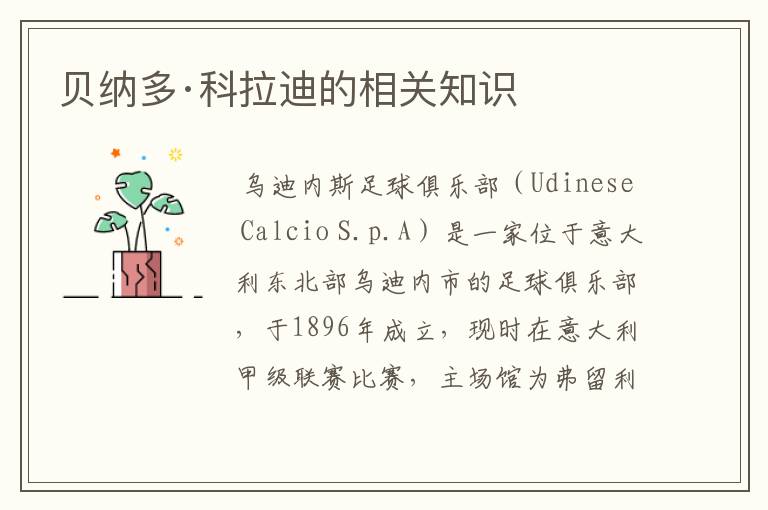 贝纳多·科拉迪的相关知识