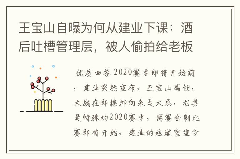 王宝山自曝为何从建业下课:酒后吐槽管理层,被人偷拍给老板