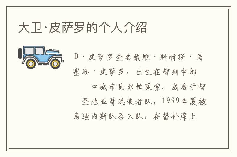 大卫·皮萨罗的个人介绍