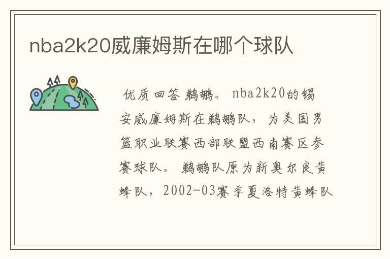 nba2k20威廉姆斯在哪个球队