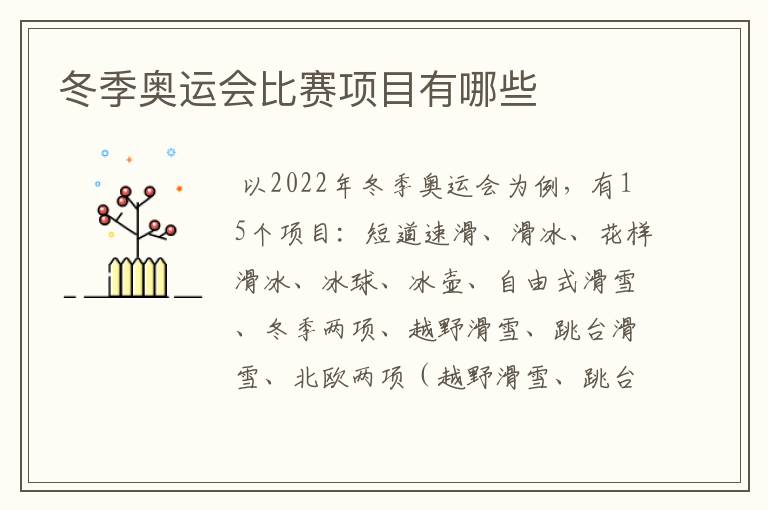 冬季奥运会比赛项目有哪些
