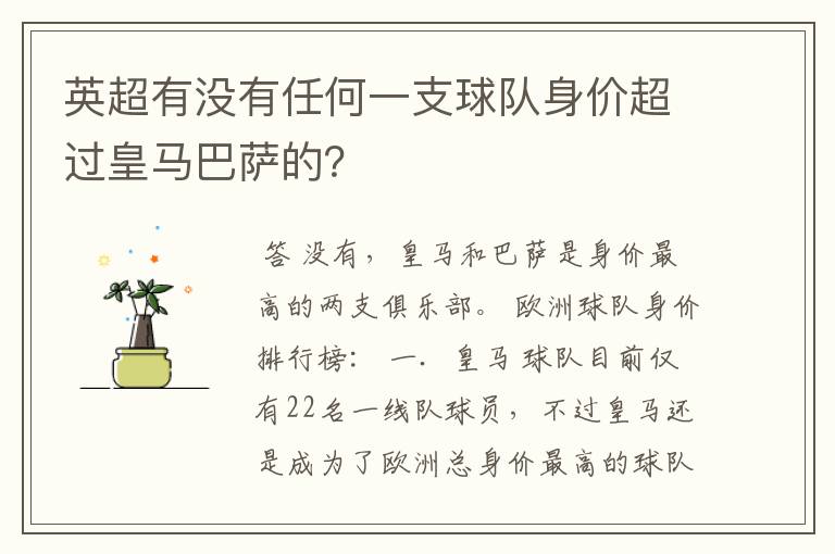 英超有没有任何一支球队身价超过皇马巴萨的?