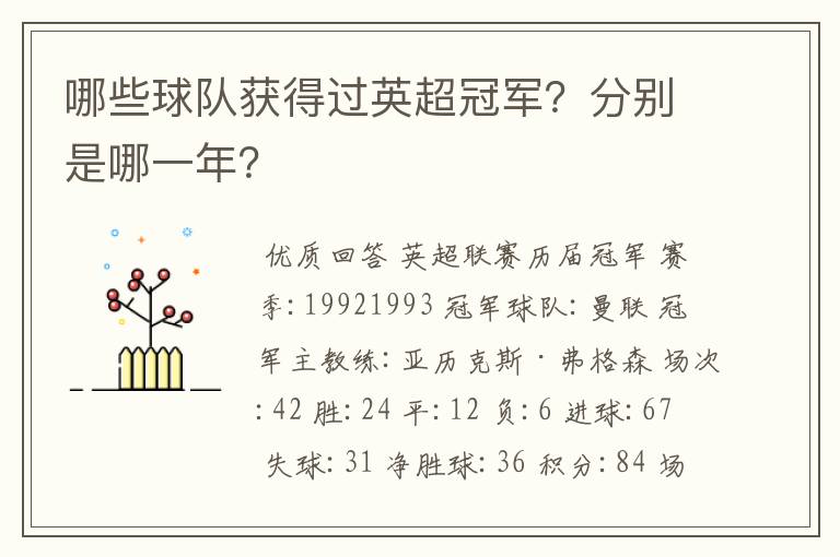 哪些球队获得过英超冠军?分别是哪一年?