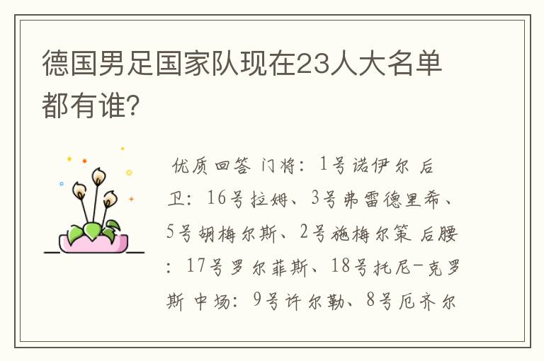 德国男足国家队现在23人大名单都有谁?