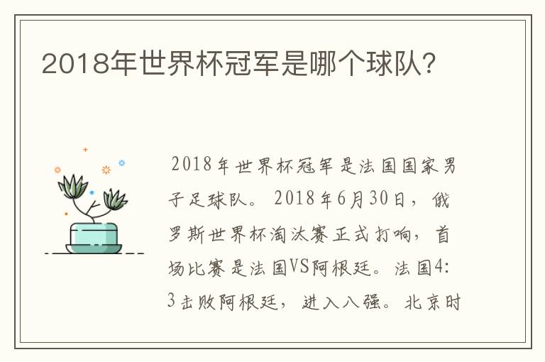 2018年世界杯冠军是哪个球队?