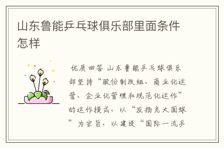 山东鲁能乒乓球俱乐部里面条件怎样