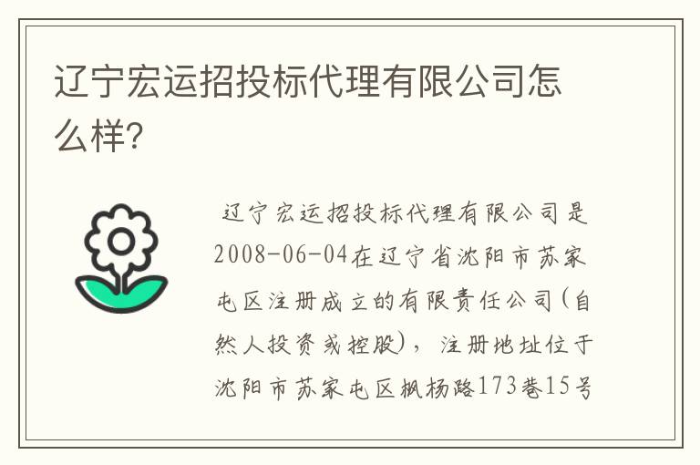 辽宁宏运招投标代理有限公司怎么样?
