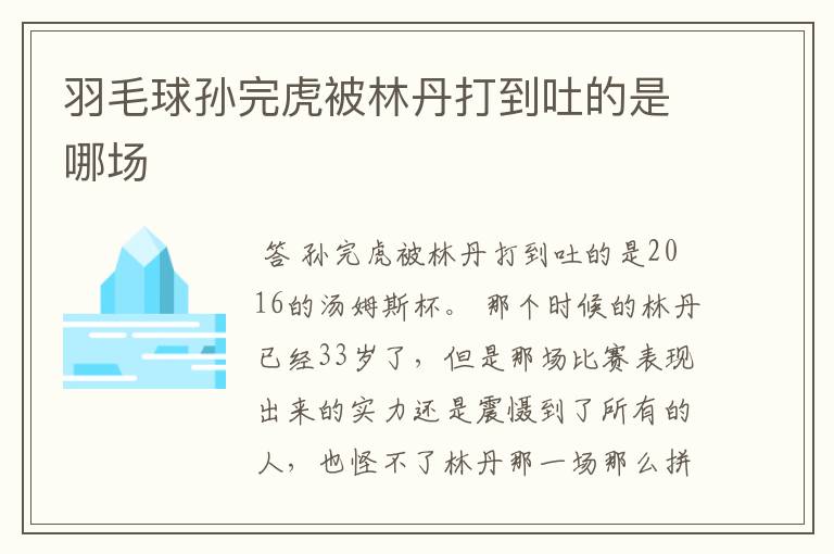 羽毛球孙完虎被林丹打到吐的是哪场