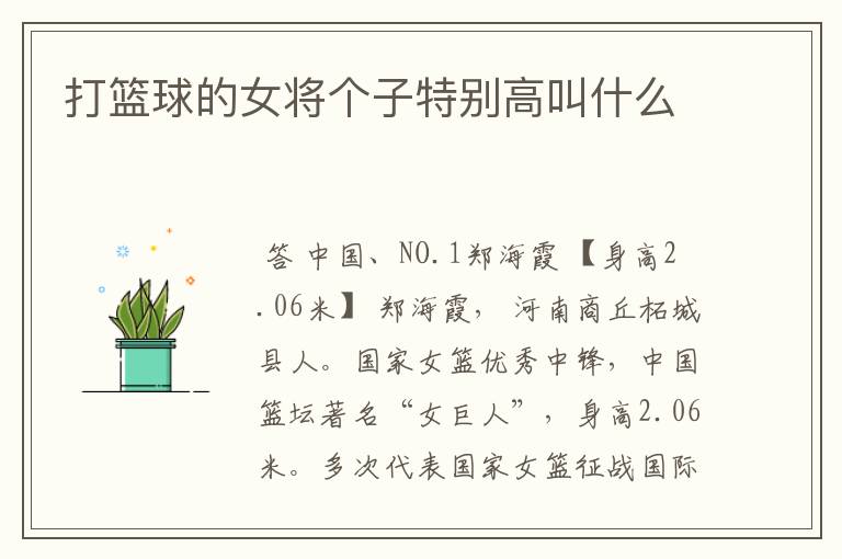 打篮球的女将个子特别高叫什么