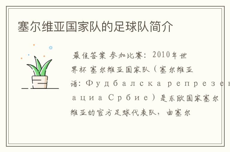 塞尔维亚国家队的足球队简介