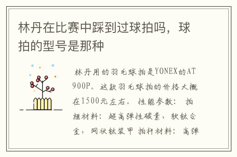 林丹在比赛中踩到过球拍吗，球拍的型号是那种