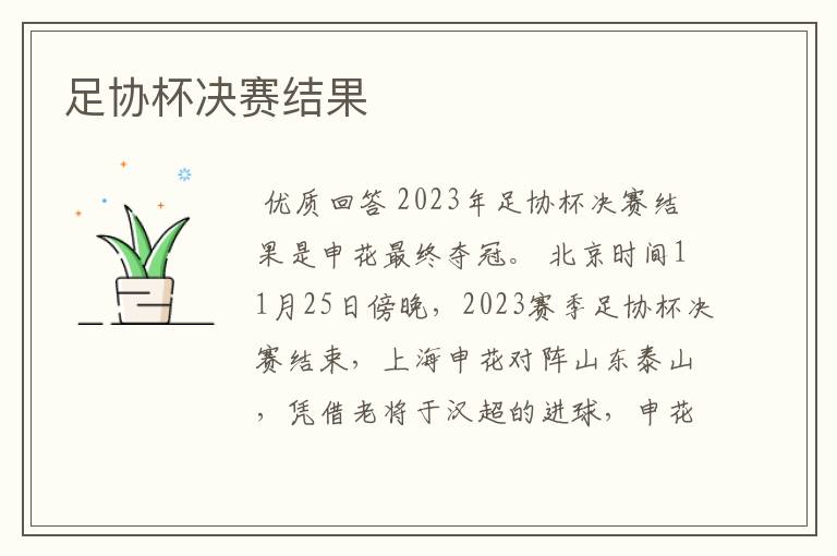 足协杯决赛结果
