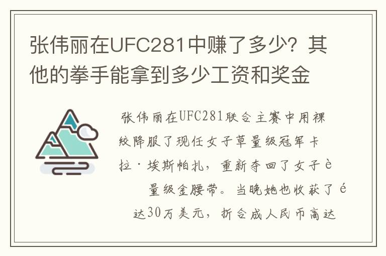 张伟丽在UFC281中赚了多少?其他的拳手能拿到多少工资和奖金?