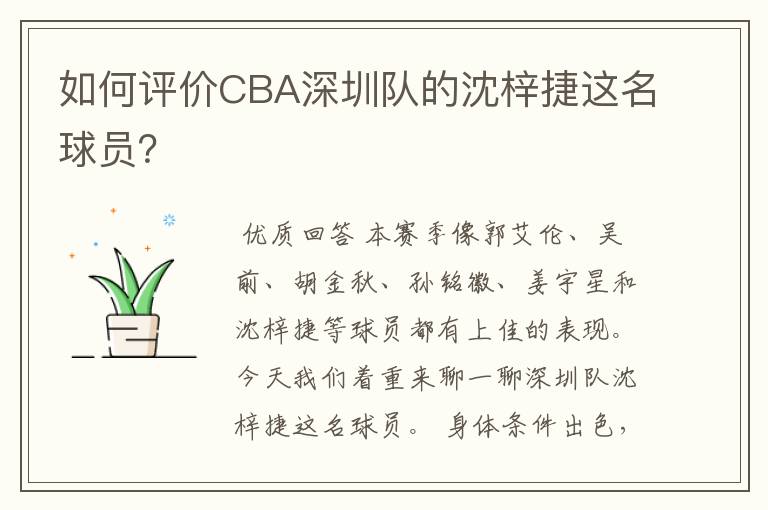 如何评价CBA深圳队的沈梓捷这名球员?