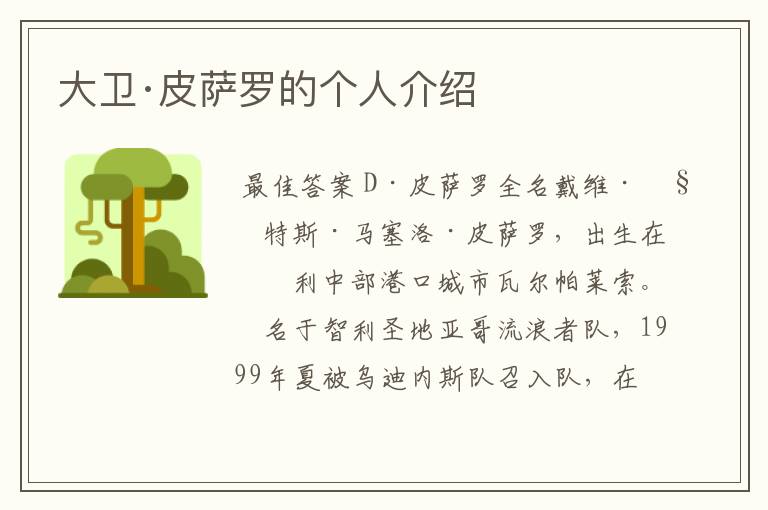 大卫·皮萨罗的个人介绍