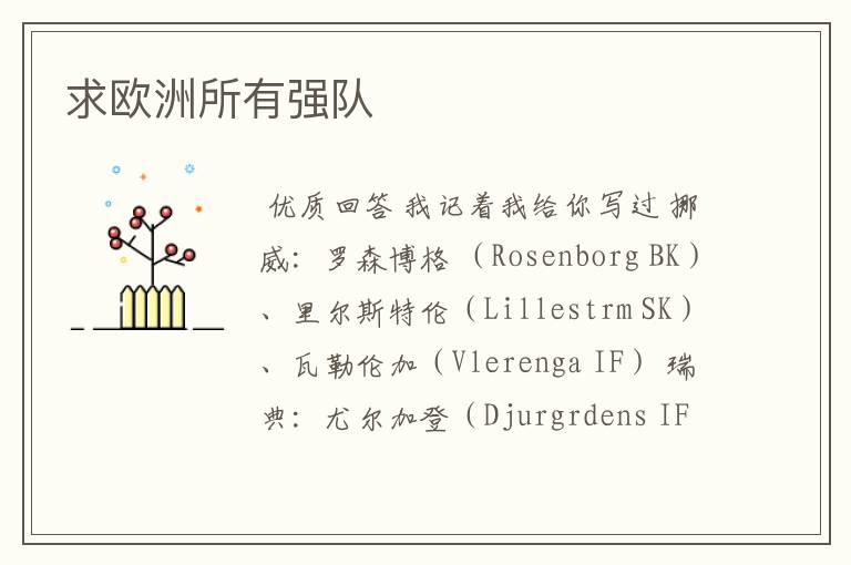 求欧洲所有强队