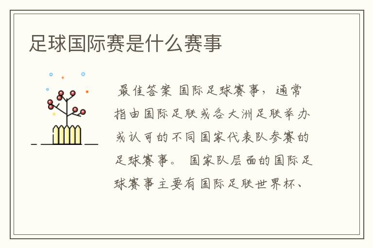 足球国际赛是什么赛事