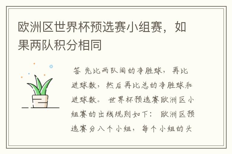 欧洲区世界杯预选赛小组赛,如果两队积分相同