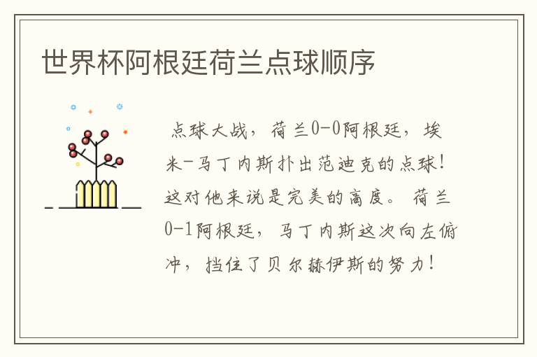 世界杯阿根廷荷兰点球顺序